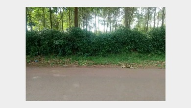 Dijual Tanah Eksklusif di Cikaum, Subang, LT 16000m²