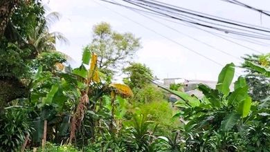 For Sale Tanah Eksklusif di Jagakarsa, Jakarta Selatan, LT 1200m²