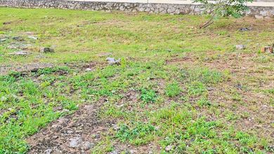 Kavling Prestisius Dijual di Cempaka Mas, Jakarta Pusat, Harga 265 Triliun