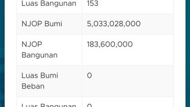 Dijual Tanah Eksklusif di Petojo, Jakarta Pusat, LT 267m²