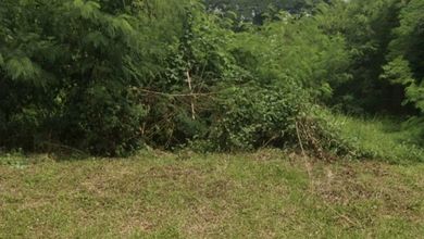 Tanah Elit Dijual di Pancoran Mas, Depok, Harga 55,2 Triliun