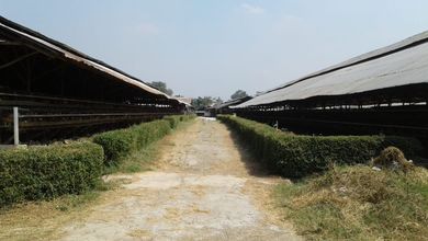 For Sale Tanah Premium di Cimuning, Bekasi, LT 56000m²