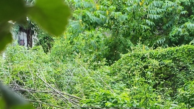 Tanah Elit Dijual di Mangga Besar, Jakarta Barat, Harga 8,4 Triliun