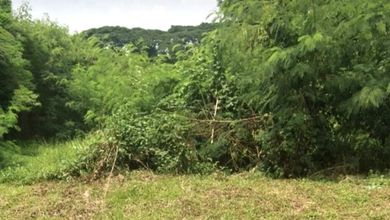 Kavling Prestisius Dijual di Jembatan Lima, Jakarta Barat, Harga 22,8 Miliar