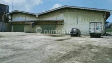 Sewa Gudang Kapuk Muara Belakang Elang Laut Luas 540 Ada Kantor