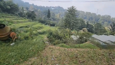 Tanah Elit Dijual di Megamendung, Bogor, Harga 114 Triliun