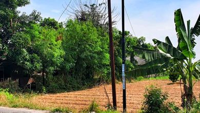 Tanah Elit Dijual di Babelan, Bekasi, Harga 6,81 Miliar