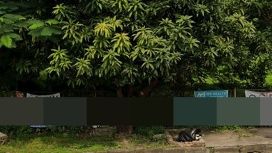 Tanah Elit Dijual di Pantai Indah Kapuk, Jakarta Utara, Harga 8,86 Miliar