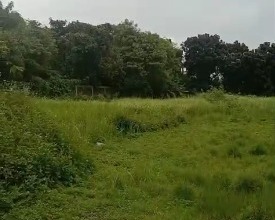 Kavling Prestisius Dijual di Cikupa, Tangerang, Harga 42 Miliar