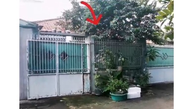 Hunian Mewah di Kawasan Kemanggisan, Jakarta Barat, LB 365m², Harga 4,75 Miliar