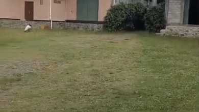 Gudang Lokasi Plumbon Cirebon Jawa Barat