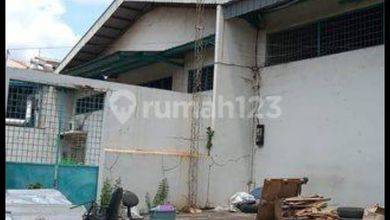 Disewakan Gudang Di Sunter Agung Jakarta Utara Luas 6000m