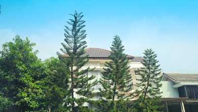 Jual Rumah Cantik LT 233 m2 di Citra Grand, Jakarta Timur