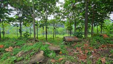 Tanah Elit Dijual di Banjarnegara, Banjarnegara, Harga 9,08 Miliar