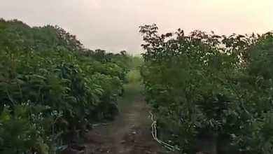 Dijual Tanah Eksklusif di Karawang Barat, Karawang, LT 25000m²