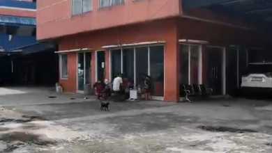 Tempat Usaha Car's Wash di Serpong Utara Tangerang Selatan