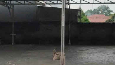 Tanah Bebas Banjir LT 432 m2, Disewa dengan Harga Murah