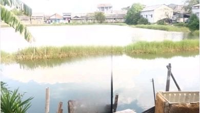 Sewa Tanah Per Tahun dengan Harga Terjangkau Kawasan Rorotan