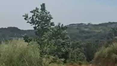 Jual Murah Tanah 4900000 m2 Lokasi Strategis