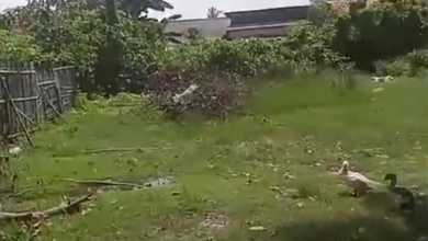 Jual Cepat Tanah Strategis di Dadap, Tangerang, LT 1135m²