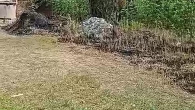 Tanah Elit Dijual di Gunung Sindur, Bogor, Harga 4,44 Miliar