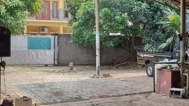 Tanah Bisnis Pinggir Jalan Raya Area Benda