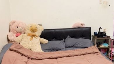 Jual Rumah Baru di Semarang Selatan, Semarang Luas 379 m2