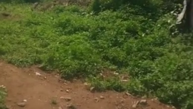 Dijual Tanah Premium di Manyaran, Semarang, LT 175m²