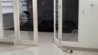 Dikontrakkan Rumah Murah di Tangerang Kota, Tangerang, LT 188m²