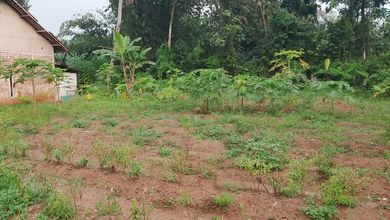 For Sale Tanah Eksklusif di Tigaraksa, Tangerang, LT 1000m²