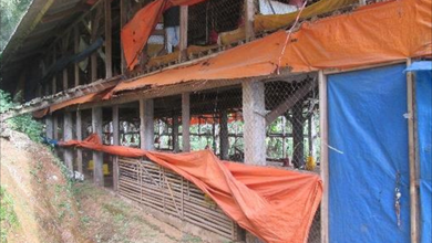 Dijual Tanah Premium di Cijeruk, Bogor, LT 3055m²