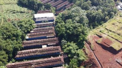 Tanah Peternakan dan Perkebunan Akses Mudah Strategis Termurah