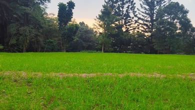 Kavling Prestisius Dijual di Rancamaya, Bogor, Harga 4,27 Miliar