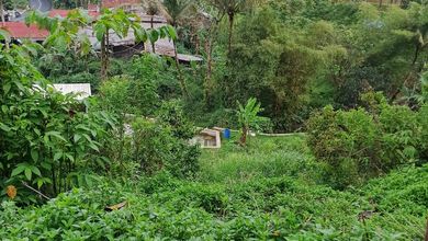 For Sale Tanah Premium di Purwakarta, Purwakarta, LT 22000m²