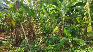 Tanah Elit Dijual di Jatisampurna, Bekasi, Harga 5,91 Miliar