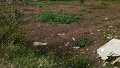 For Sale Tanah Premium di Pantai Indah Kapuk 2, Jakarta Utara, LT 360m²