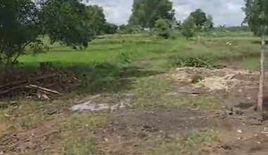 Tanah Elit Dijual di Tigaraksa, Tangerang, Harga 150 Miliar