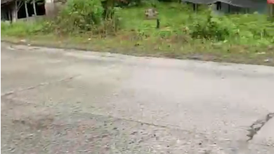 Tanah Elit Dijual di Parung Panjang, Bogor, Harga 96 Miliar