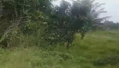 Tanah Elit Dijual di Tigaraksa, Tangerang, Harga 56 Miliar