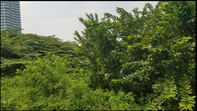 For Lease Tanah Premium di Puri Indah, Jakarta Barat, LT 4373m²