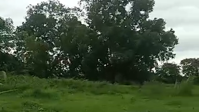 Disewakan Tanah Strategis di Balaraja, Tangerang