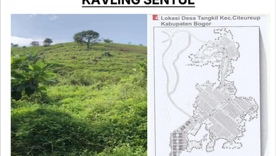 Tanah Elit Dijual di Citeureup, Bogor, Harga 850 Miliar