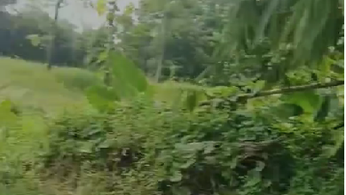 Tanah Elit Dijual di Tigaraksa, Tangerang, Harga 165 Miliar