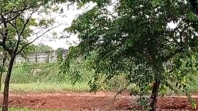 Tanah Elit Dijual di BSD City, Tangerang, Harga 800 Miliar