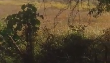 Kavling Prestisius Dijual di Jatake, Tangerang, Harga 188 Miliar