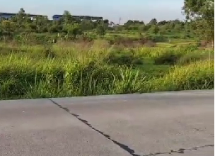 Dijual Tanah Eksklusif di Tigaraksa, Tangerang, LT 100000m²