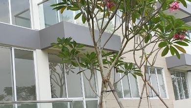 Apartemen Nyaman Dijual Cepat di Gading Serpong, Tangerang, Harga Menarik!