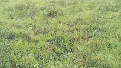 Tanah Elit Dijual di Panongan, Tangerang, Harga 5,62 Miliar