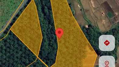 Tanah Elit Dijual di Cikeusik, Pandeglang, Harga 9800 Triliun