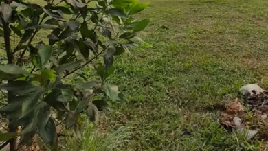 Dijual Tanah Eksklusif di Ciater, Tangerang, LT 400m²